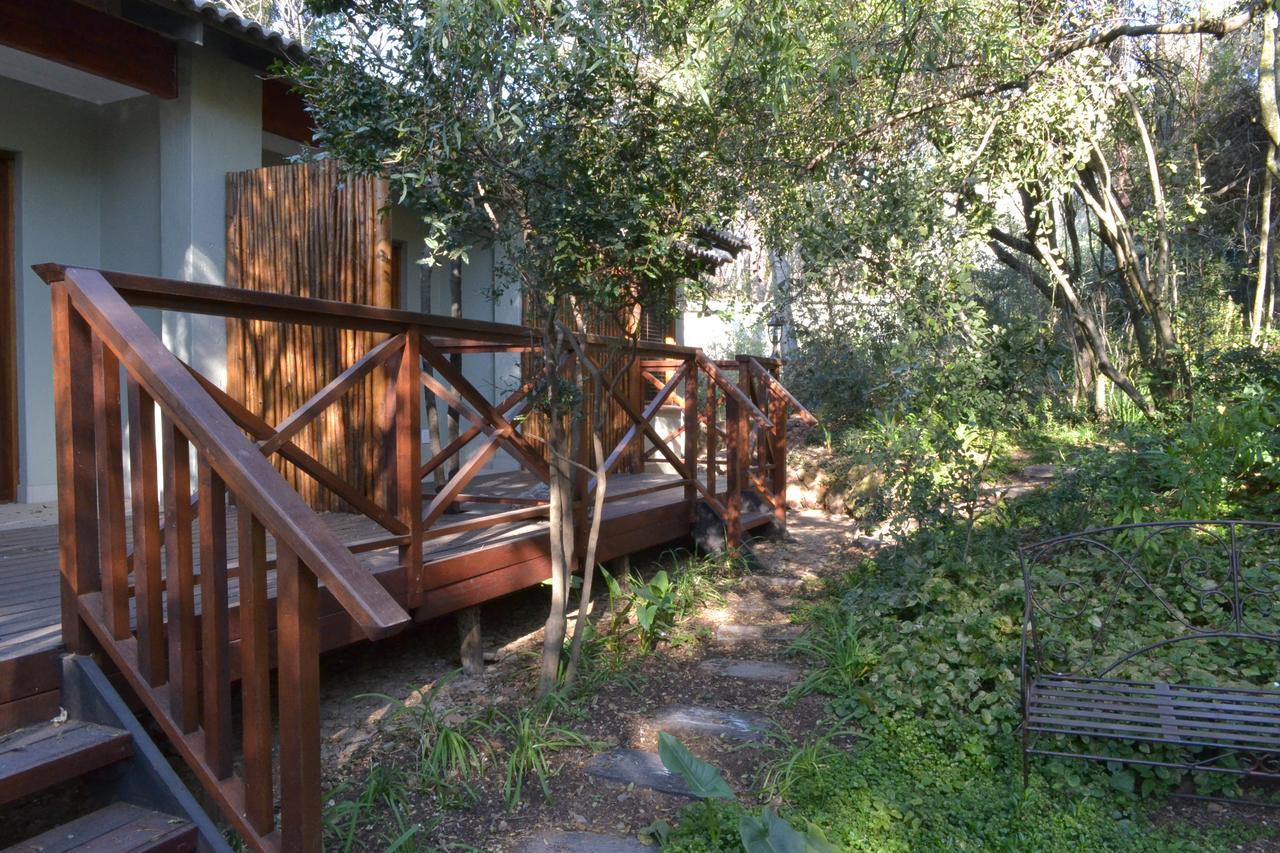 Lydall Wild Tranquil Garden Suites Γιοχάνεσμπουργκ Εξωτερικό φωτογραφία