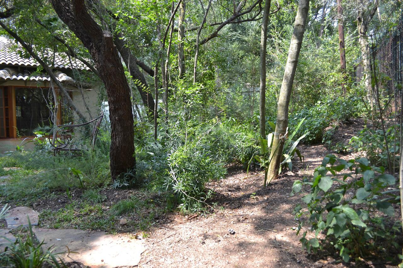 Lydall Wild Tranquil Garden Suites Γιοχάνεσμπουργκ Εξωτερικό φωτογραφία